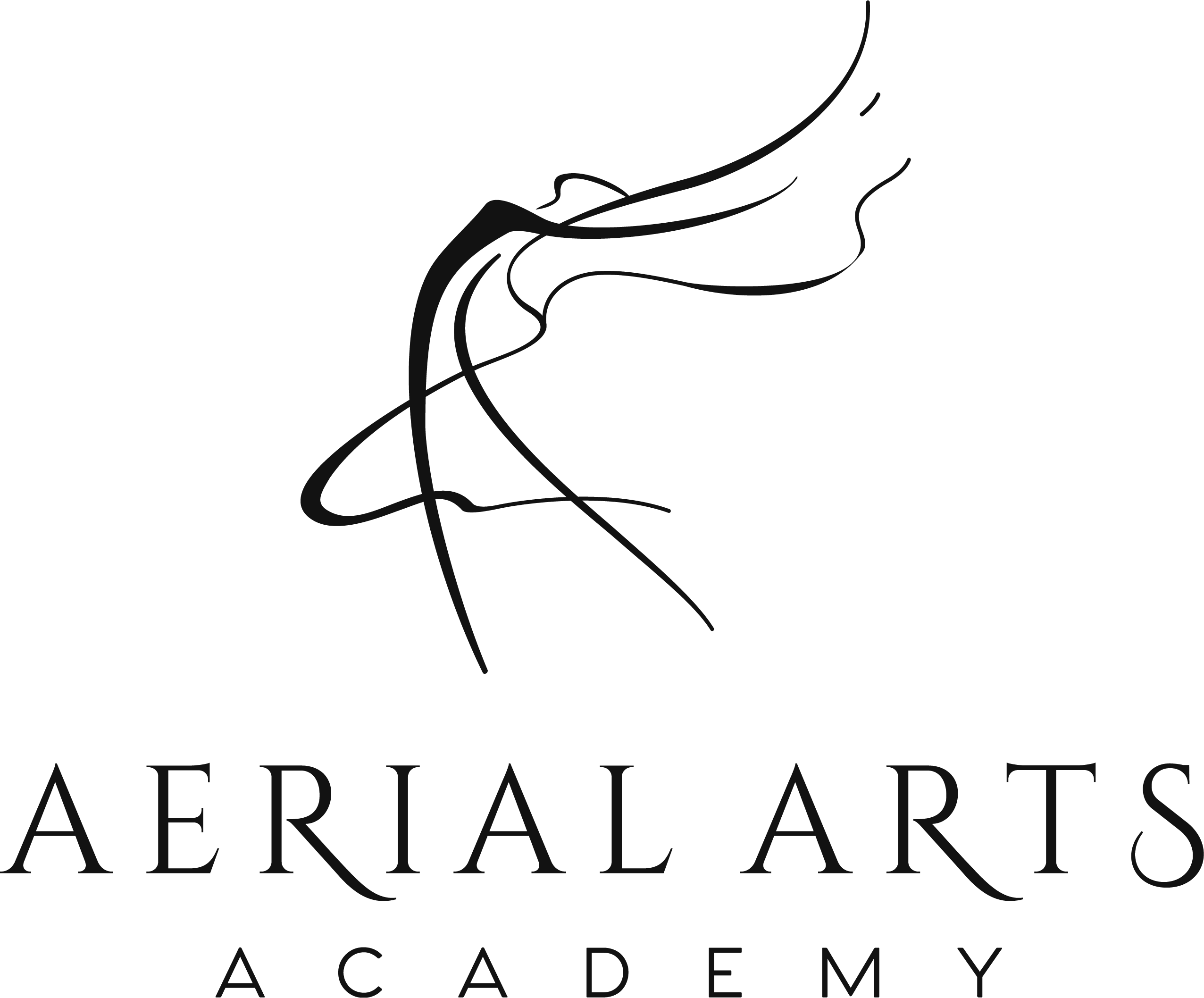 Aerial Arts Academy Private Class Trial